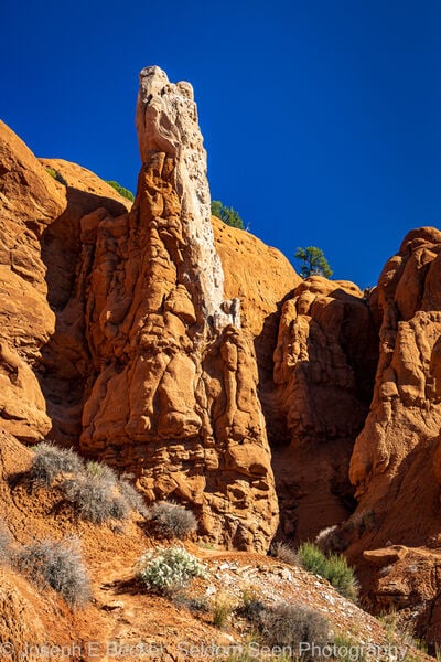 photography spots in United States - Kodachrome Basin - Sentinel Spire