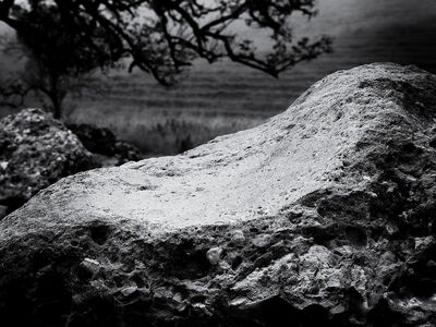 Image of Valley of Stones, Dorset - Valley of Stones, Dorset
