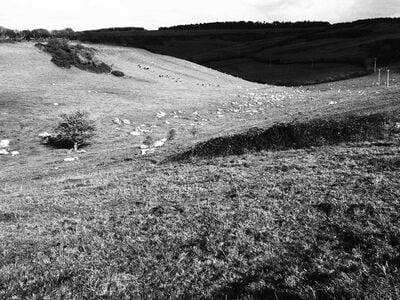 Picture of Valley of Stones, Dorset - Valley of Stones, Dorset