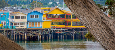 California photography spots - Old Fisherman's Wharf from Sister City Park