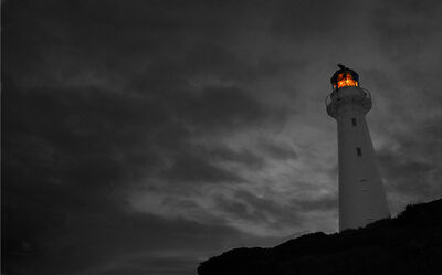 New Zealand photo locations - Castlepoint Light House