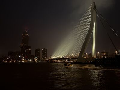 Rotterdam instagram spots - Erasmusburg from Cruise Terminal 