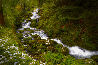Slovenia photos - Kroparica Stream