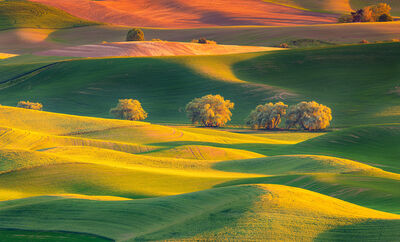 images of Palouse - West Steptoe Butte Viewpoint