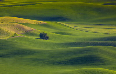 pictures of Palouse - West Steptoe Butte Viewpoint