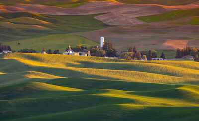 photos of Palouse - West Steptoe Butte Viewpoint