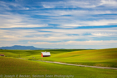 pictures of Palouse - Morscheck Road Barns