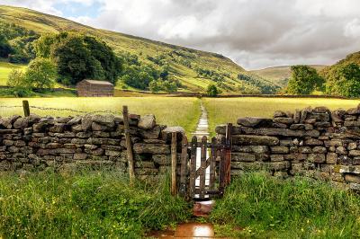 The Yorkshire Dales photography locations - Muker Meadows, Swaledale