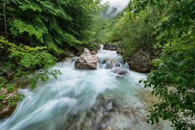 Picture of Možnica River  - Možnica River 
