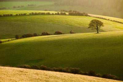 Photo of Ditchling Beacon (South Downs NP) - Ditchling Beacon (South Downs NP)