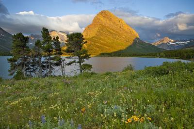 Image of Swiftcurrent Lake and Falls - Swiftcurrent Lake and Falls