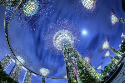 Picture of Gardens by the Bay - Gardens by the Bay