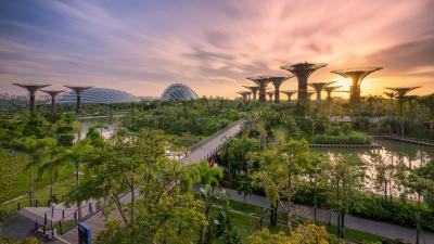 Image of Gardens by the Bay - Gardens by the Bay
