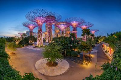 Photo of Gardens by the Bay - Gardens by the Bay
