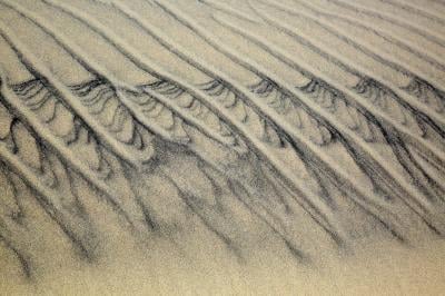 images of Outer Banks - Jockey's Ridge State Park