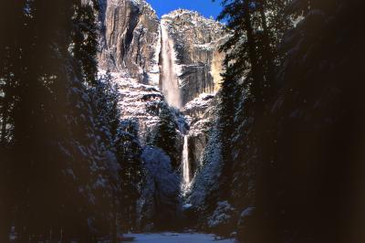 Photo of Lower Yosemite Falls Trail - Lower Yosemite Falls Trail