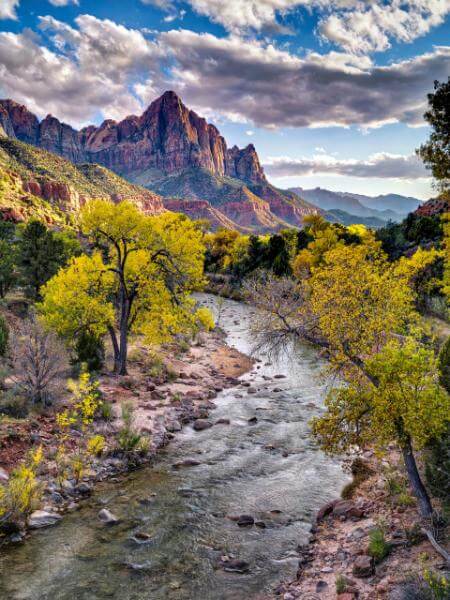 Image of The Watchman - View from the Bridge - The Watchman - View from the Bridge